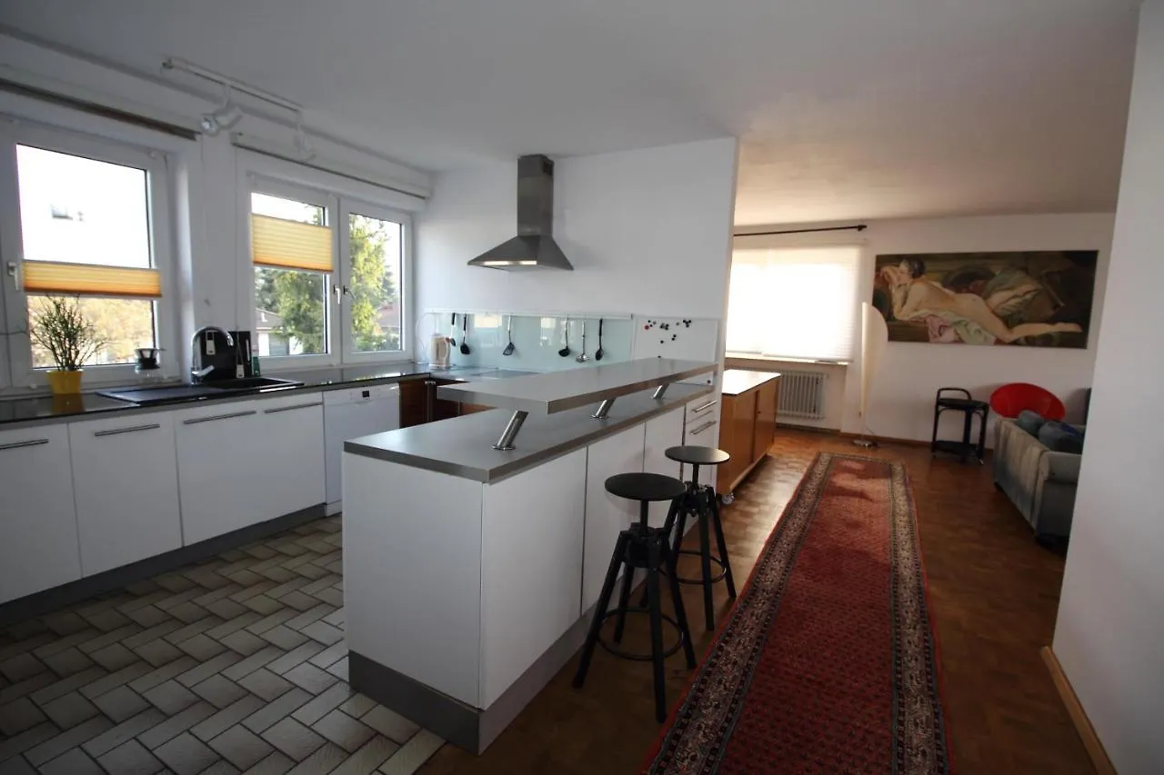Loft Irma Mit Grosser Terasse Heddesheim